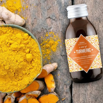 Turmeric Shot BIO 90ml