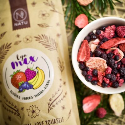 Lyo mix borůvka a jahoda 35g