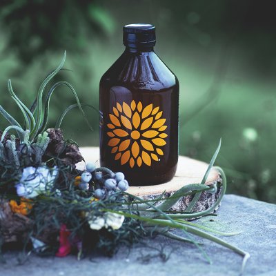 Kombucha acerola a zázvor BIO 330ml