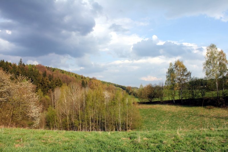 Jíme sezónně - březen
