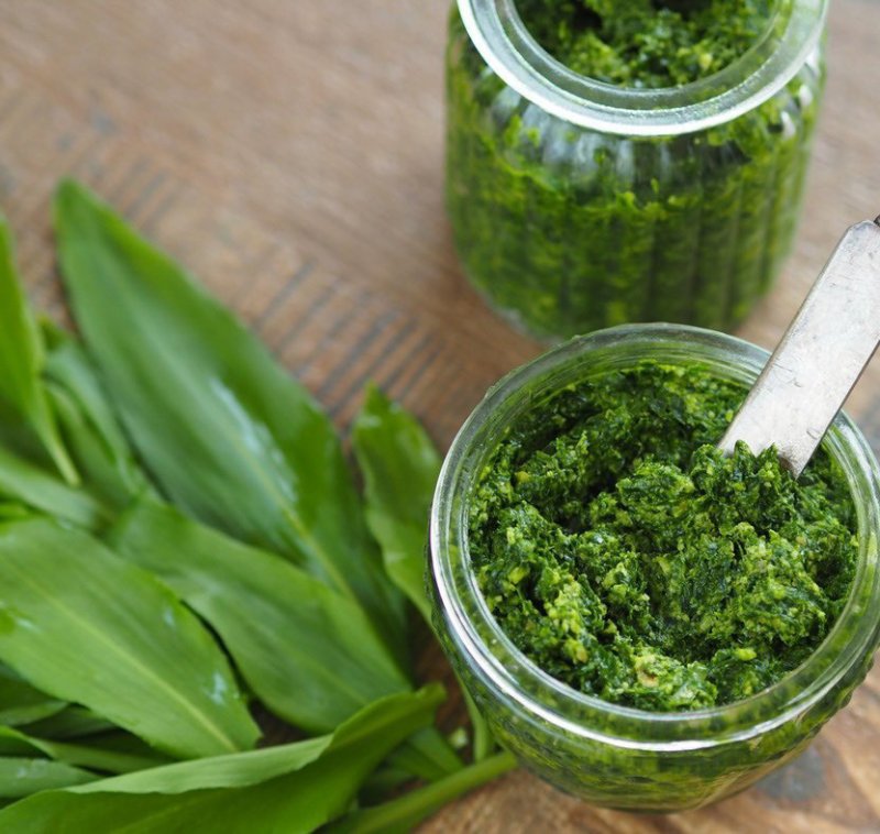 Pesto z medvědího česneku