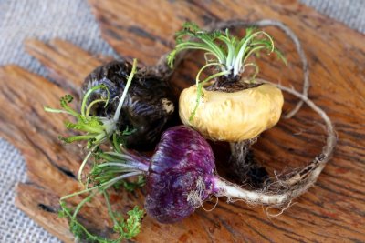 Maca červená BIO prášek 80g