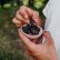 Freeze-dried Cherries 25g