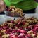 Granola Forest Fruits 330g