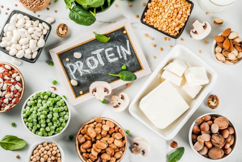 Proteiny ve stravě a proč se o nich tolik mluví?