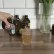 Kombucha šípek a růže BIO 330ml