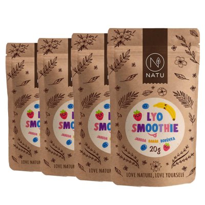 Lyo smoothie mix 4x20g
