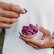 Freeze-dried Dragon Fruit 70g