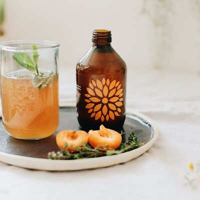 Kombucha acerola a zázvor BIO 330ml