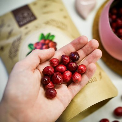 Freeze Dried Cranberries 45g