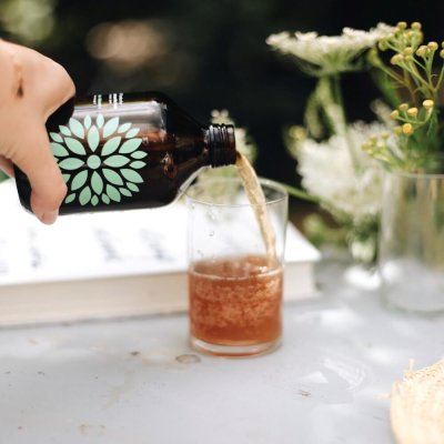 Kombucha okurka a koriandr BIO 330ml