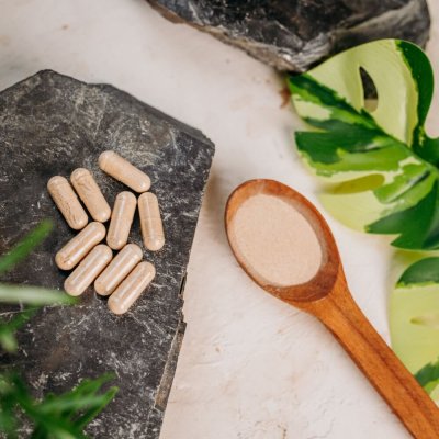 Bulharský kotvičník (Tribulus) extrakt 90 % saponinů 90 kapslí