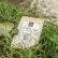 Organic Spirulina Powder 80g