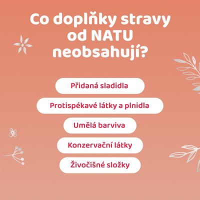 2+1 BetaGlukan 500 mg s BIO acerolou 60 kapslí