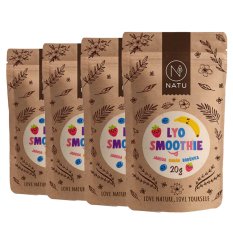 Lyo smoothie mix 4x20g