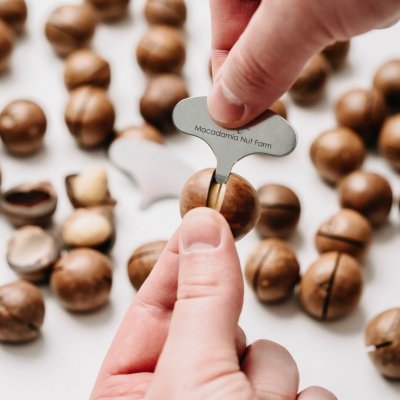 Makadamové ořechy ve skořápce s klíčkem 150g