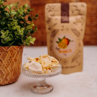 Lyofilizované mango 35g