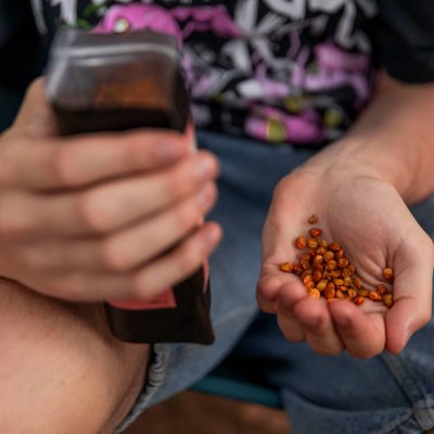 Čočkýna příchuť chilli BIO 100g