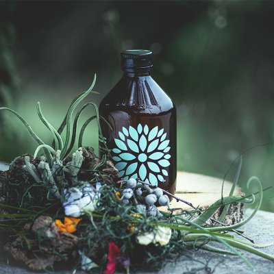 Kombucha okurka a koriandr BIO 330ml