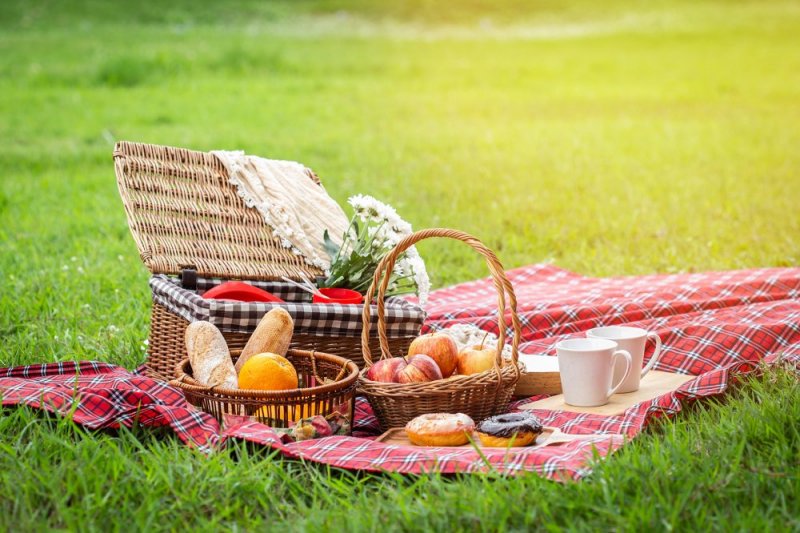 Letní piknik s přáteli