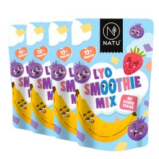 Lyo smoothie mix 4x20g