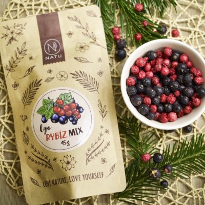 Lyo mix rybíz 45g
