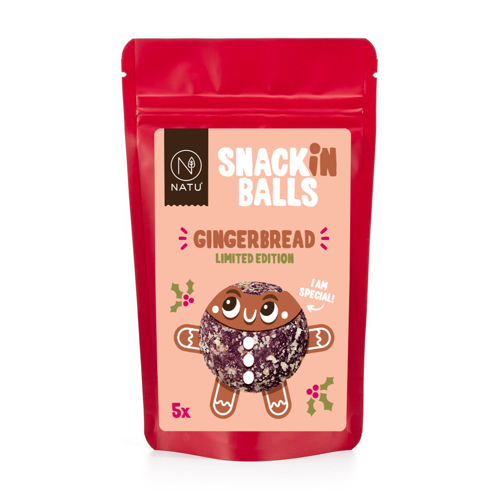 NATU SNACKin Balls Gingerbread 65g